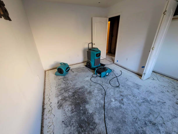 Best Water damage restoration near me  in St Peter, WI