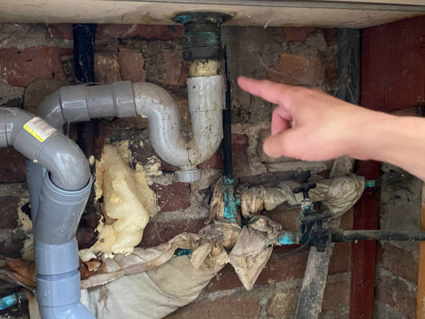 Best Flooded house restoration  in St Peter, WI